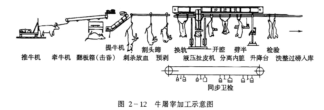 肉牛屠宰加工工藝流程介紹