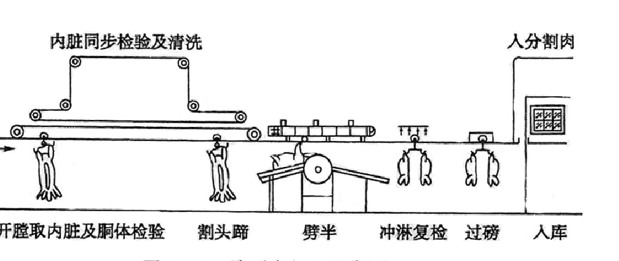肉羊屠宰加工工藝流程介紹